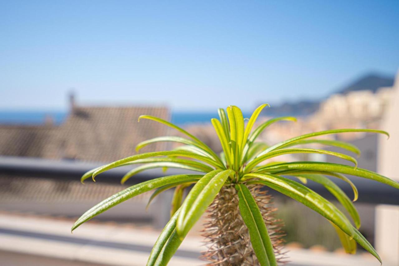 Apartamento Vibeke Altea Exterior foto